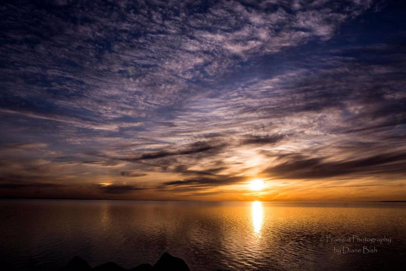 Oneida Lake Association - by Diane Bish