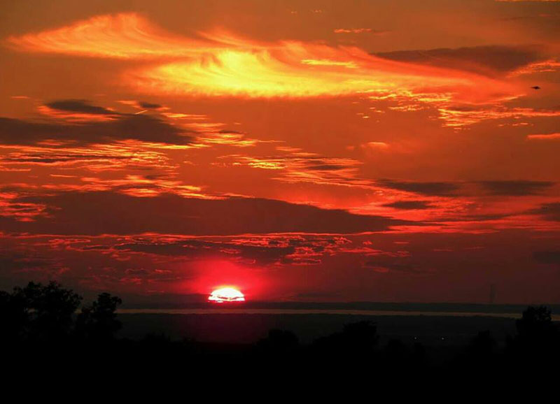 Oneida Lake Association - by Marny Kinne
