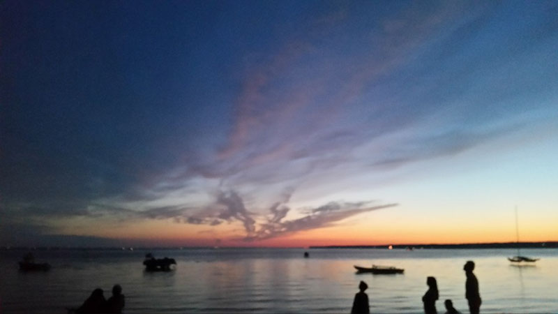 Oneida Lake Association - by Maureen Dunn Campbell