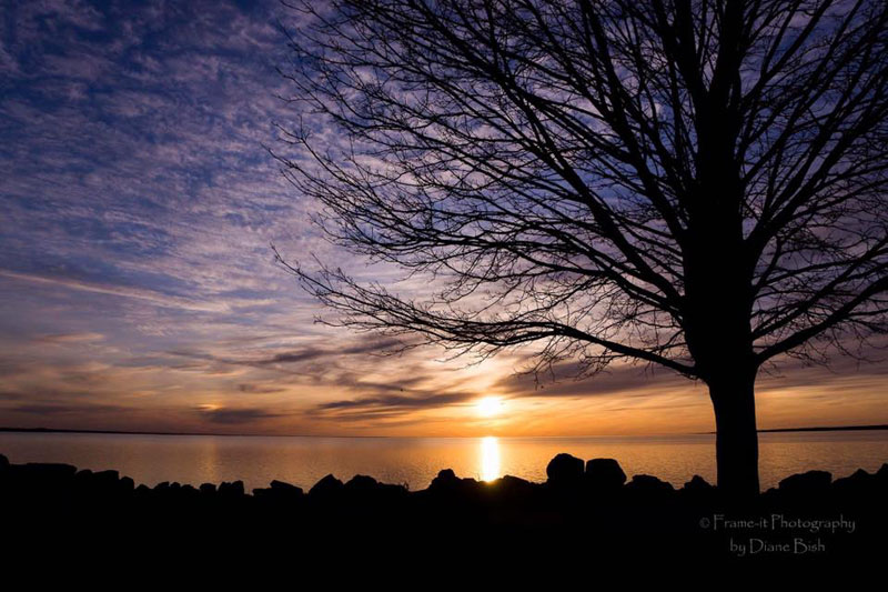 Oneida Lake Association - by Diane Bish