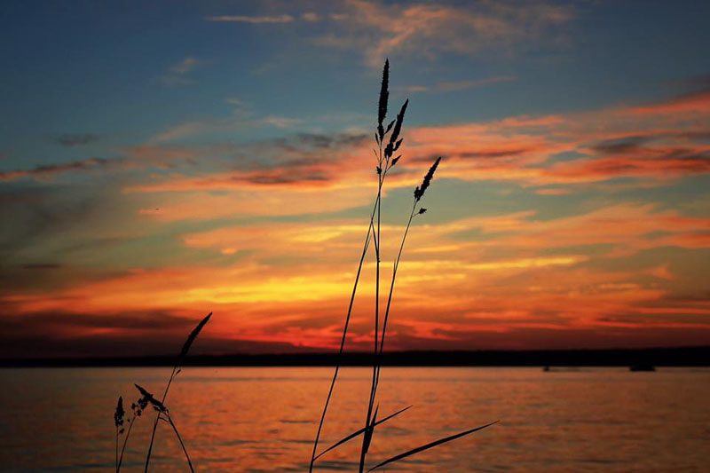 Oneida Lake Association - by Susan Campbell